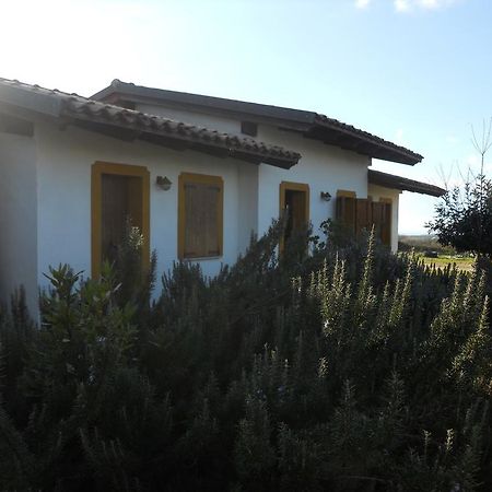 Vila Agriturismo Su Nuratolu Sagama Exteriér fotografie