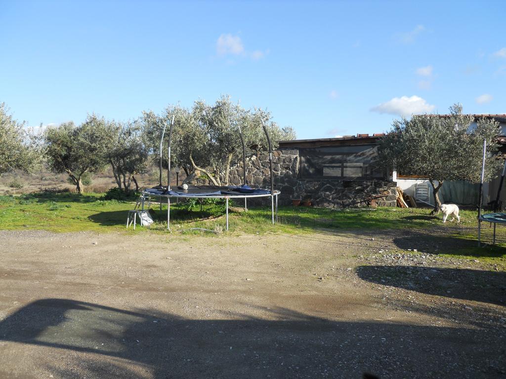 Vila Agriturismo Su Nuratolu Sagama Exteriér fotografie