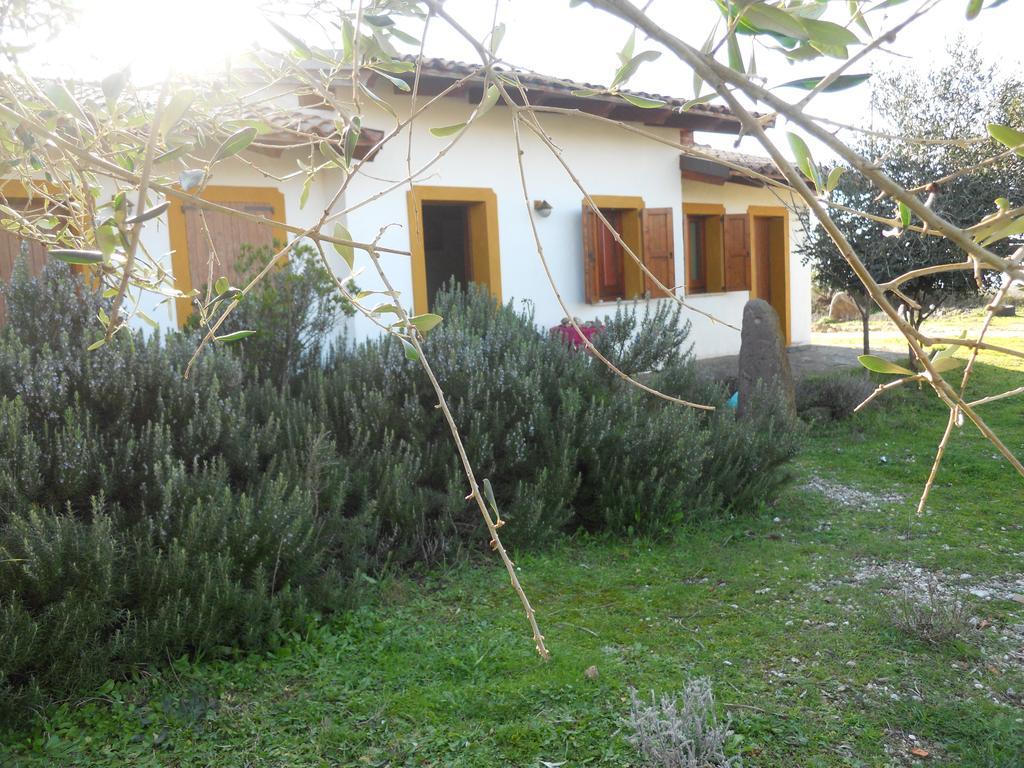 Vila Agriturismo Su Nuratolu Sagama Exteriér fotografie